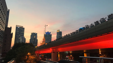 上海小夜曲