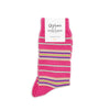 WOMENS・Multi stripe socks・AYMxPH/W001