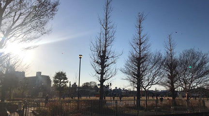 HAPPY NEW YEAR 2019 and HAPPY BIRTHDAY TO ME!