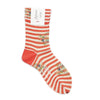 WOMENS・Floral stripy socks・AYM004/2401/N